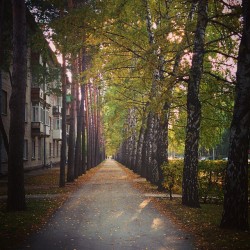 Академгород, пожалуй, самый экологичный город России, что я видел. Он тупо посреди леса находится. Нереально свежий воздух и несчетное количество институтов вокруг. Один из главных научных центров России. Очень круто.