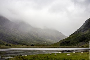 Природа Шотландии